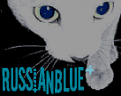 RussianBlue+